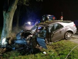 Kierowca Renault ciężko ranny po uderzeniu w drzewo na DK 78