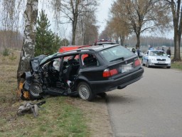 Czołówka z drzewem. Kierowca BMW46 nie żyje