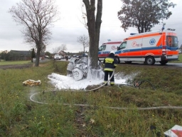 Czołowe zderzenie z drzewem