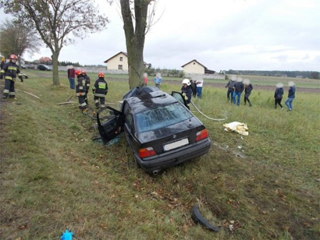 Czołowe zderzenie z drzewem