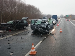 ​Na obwodnicy Ełku Opel uderzył w przebiegającego łosia i czołowo zderzył się z VW