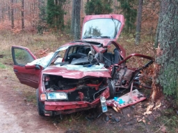 Szczycionek. Pijany kierowca Nissana uderzył w drzewo