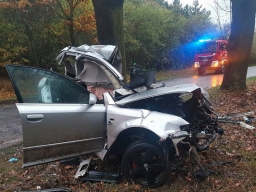 Gołańcz. Audi uderzyło w drzewo