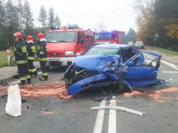 Trzcinica. Czołowe zderzenie na DK28